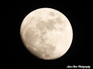 Moon mode photography with Nikon Coolpix P1000