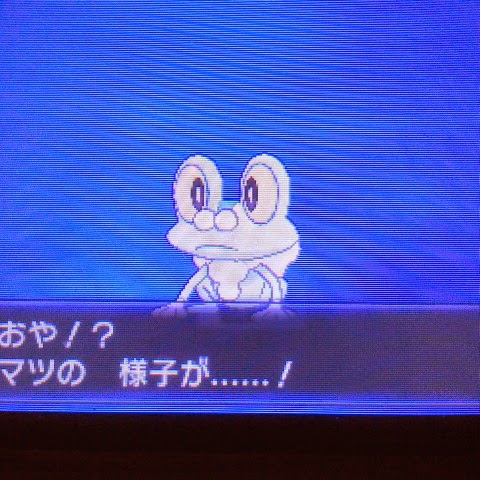 ポケットモンスターxy攻略メモ 国際孵化で色違いポケモン 目指せ 色違いゲッコウガ 生臭坊主のゲームメモ