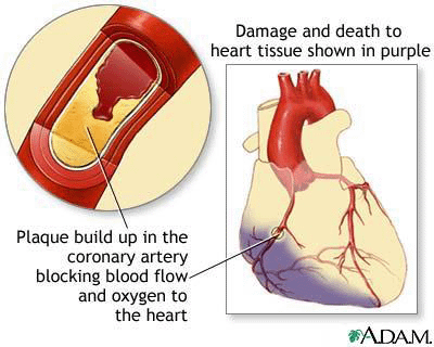 heart diagram for kids. Human Heart Diagram For Kids.