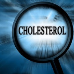 top foods to lower cholesterol, 