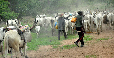 Igbo group tells herdsmen to vacate their land within 2 months or they’d be killed