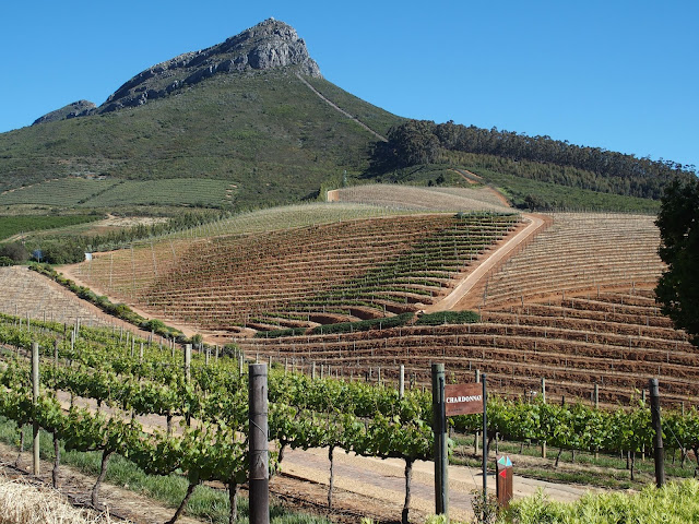 Afrique du Sud, Cap Town, la route des vins, de grands chemins