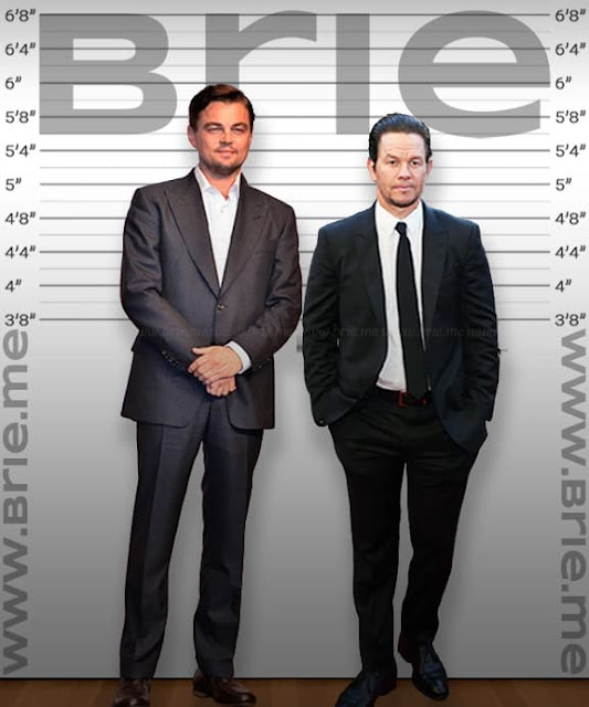 Leonardo DiCaprio height comparison with Mark Wahlberg