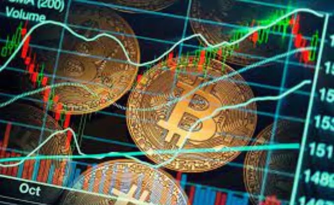 Bitget's Bold Move: Riding the DeFi Wave with Vertex (VRTX) Token Listing