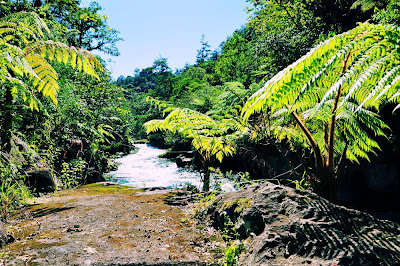 Campamento El Pezma en Tomata, Tlapacoyan, Veracruz.