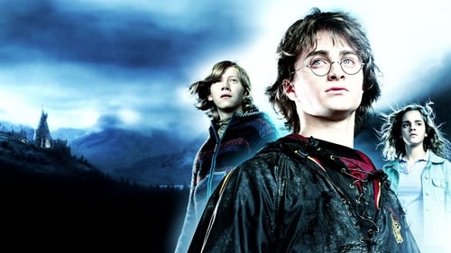 Harry Potter et la Coupe de feu 2005 bonne qualité