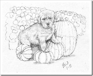Puppy Ornament pencil sketch