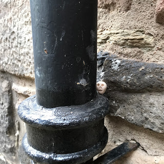 A close-up photo of a small, ceramic skull (Skulferatu #83) resting in the curve of an old black drainpipe at the side of the doorway into Acheson House. Photo by Kevin Nosferatu for the Skulferatu Project.