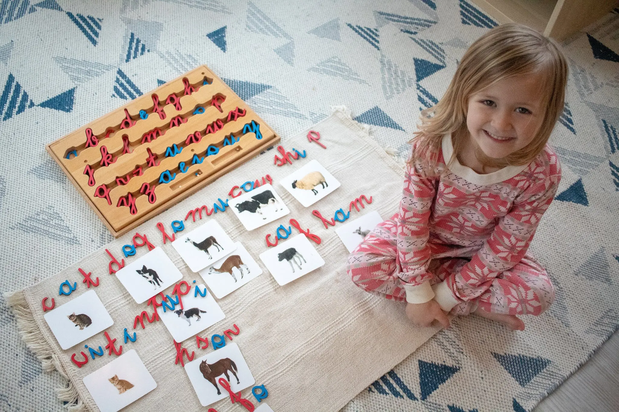 A cursive Montessori moveable alphabet sits on a colorful rug. Below it a child has used the alphabet to phonetically spell out words matching picture cards of baby animals in their Montessori home.