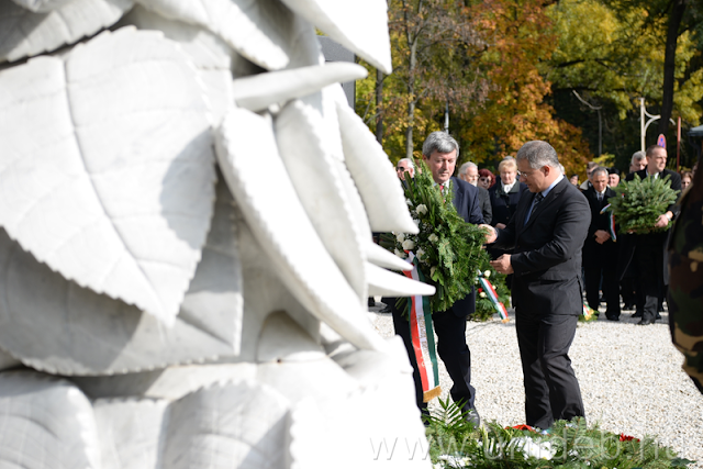 A forradalom és szabadságharc első sortüzének áldozatai szintén a debreceniek lettek. A 60 évvel ezelőtti eseményekre közös ünnepséggel emlékezett az egyetem és a város, melyeknek nemcsak múltja, de jelene és jövője is elválaszthatatlan egymástól.