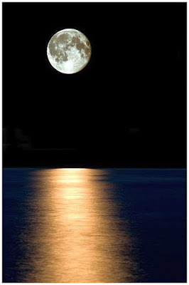 NATURE IS BEAUTIFUL! Amazing moon photos!
