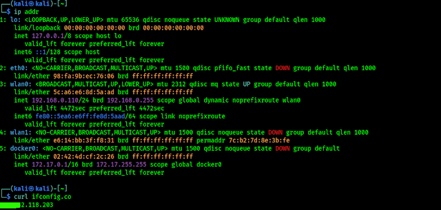 finding ip address on linux terminal