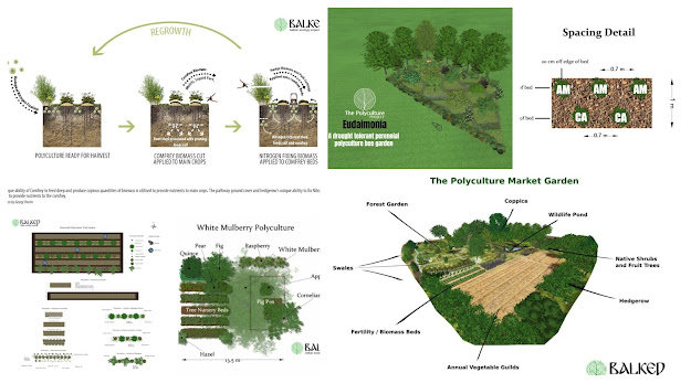 How to Design and Build A Forest Garden - Webinar