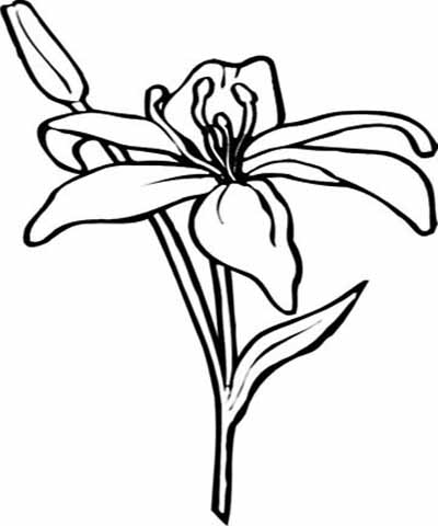 Flower Coloring Pages on Flower Coloring Pages