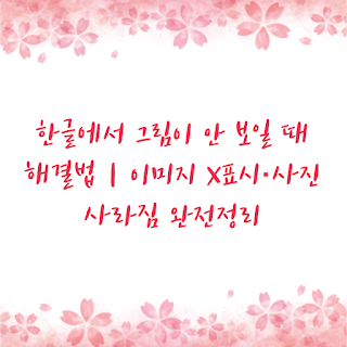 한글에서 그림이 안 보일 때 해결법｜이미지 X표시·사진 사라짐 완전정리