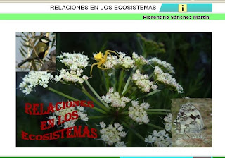 http://cplosangeles.juntaextremadura.net/web/edilim/curso_4/cmedio/el_ecosistema/las_relaciones/las_relaciones.html