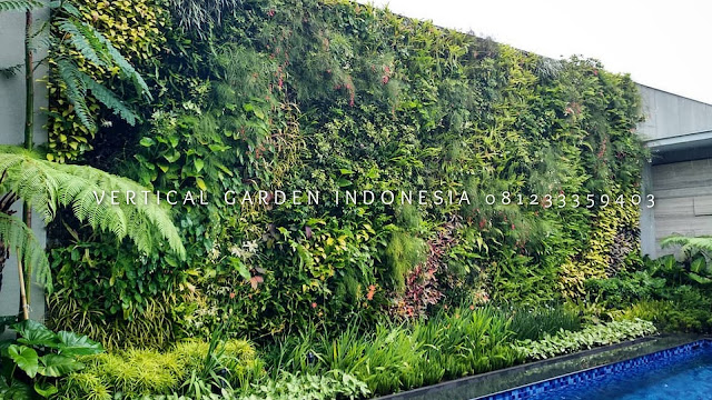 VERTICAL GARDEN INDONESIA SPESIALIS JASA PEMBUATAN VERTICAL GARDEN DI PURWOKERTO JAWA TENGAH DAN DI SELURUH WILAYAH JAWA TENGAH DENGAN TENAGA YANG PROFESIONAL DAN DAPAT DI PERCAYA YANG SELALU MENGUTAMAKAN SEBUAH MUTU DAN KUALITAS PEMASANGAN VERTICAL GARDEN/TAMAN DINDING, JASA TUKANG TAMAN VERTICAL PURWOKERTO JAWA TENGAH, JASA VERTICAL GARDEN PURWOKERTO JAWA TENGAH