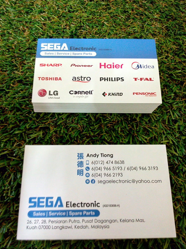 Sega Electronic, Sales, Service, Spare Parts