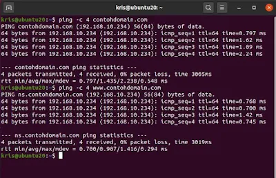 Cara Install dan konfigurasi DNS Server di Debian 10