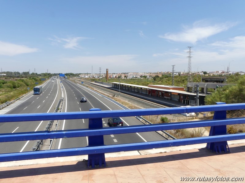 Bici Cádiz - Puerto de Santa María - Puerto Real - San Fernando - Cádiz