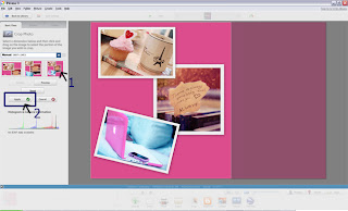 Picasa Tutorial - Collage