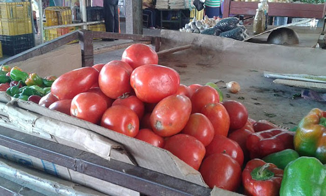 Tomates y otros rubros incrementaron de costo. Delta Amacuro.