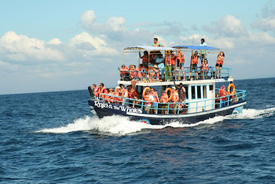 Raju and the Whales Mirissa