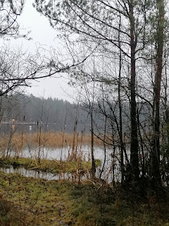 Kuusijärvi