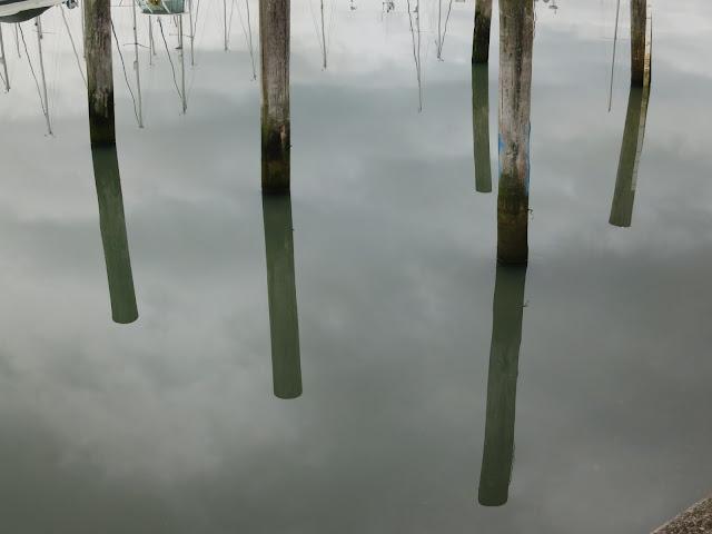 Wooden Mooring Poles and their reflections in still water