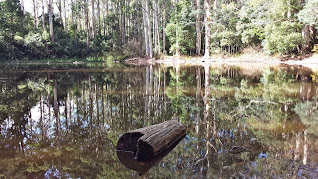 Sanotorium Lake Mt Macedon