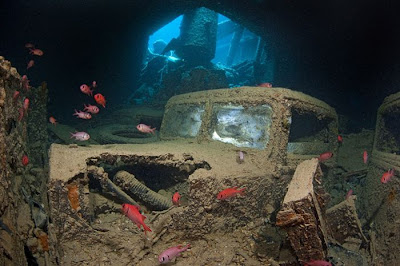 Alex Mustard's Ship Wrecks on Sea Bed  Seen On lolpicturegallery.blogspot.com