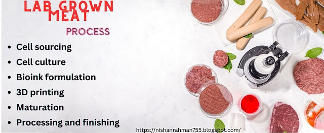 How 3D Printed Meats are Made