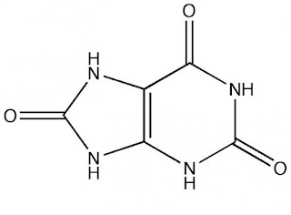 What Are The Symptoms Of Uric Acid