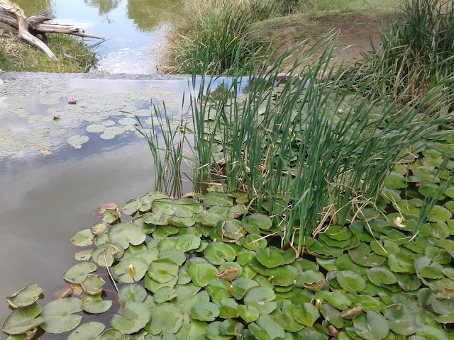 Jardin Botanico de Cordoba in Argentina