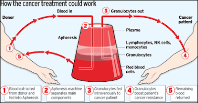 How the cancer treatment could work