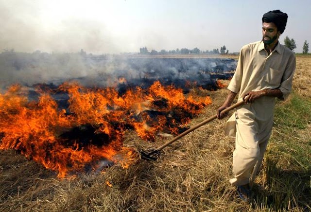 लू से खेतों में लग जाती है आग, कृषि विभाग ने किसानों के बचाव के लिए जारी किए ये टिप्स 