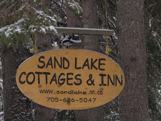 sand lake cottages muskoka ontario