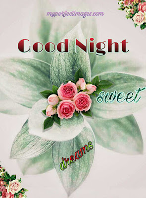 good night flower images