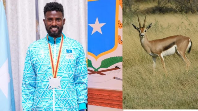 Cabdullaahi Jaamac: Wax ka ogow nolosha wiilka awoowihii orodka ku qaban jiray ugaarta ee hadda billadda u keenay Soomaaliya