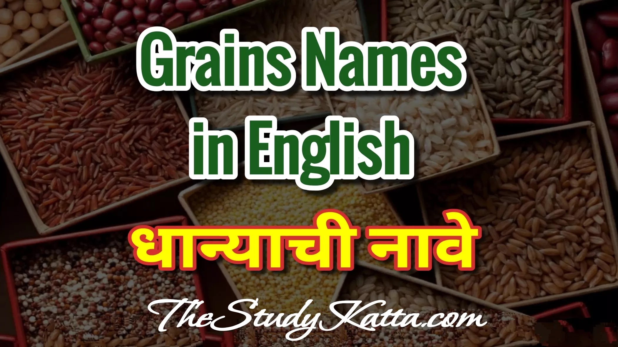 Grains Names | Grains Names in English  | धान्याची नावे