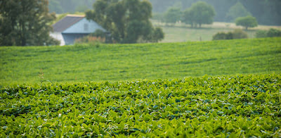 U.S. Soybeans Help Feed the World - Source: USDA - https://www.usda.gov/media/blog/2016/06/21/us-soybeans-help-feed-world