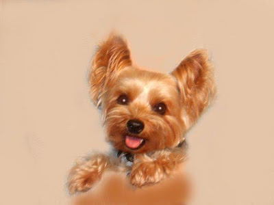 無料ダウンロード ペコ ちゃん 犬 名前 168839