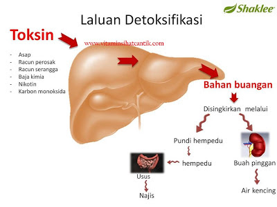 Hepatitis,DTX Complex,Vivix,Nutriferon 