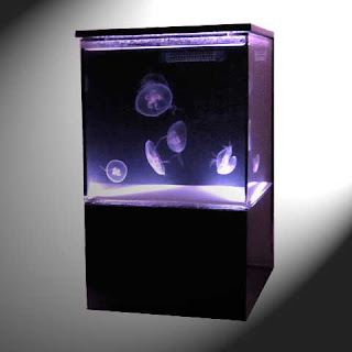 Jellyfish Aquarium