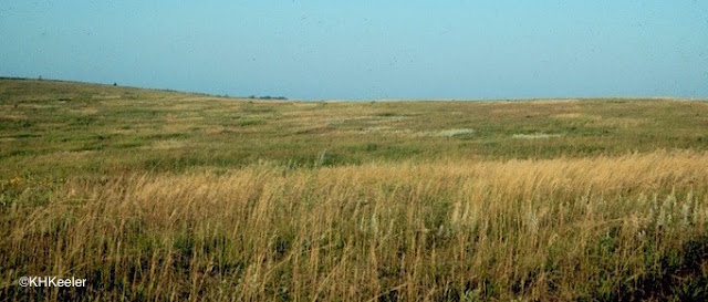 tallgrass prairie