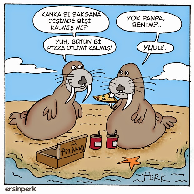 en komik karikatür, ersin perk karikatürleri, karikatür, komik, komik karikatürler, mizah, karikaturler, komik karikatür, fok karikatürü, fok balığı karikatürü