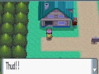 Pokemon Weird Screenshot 03