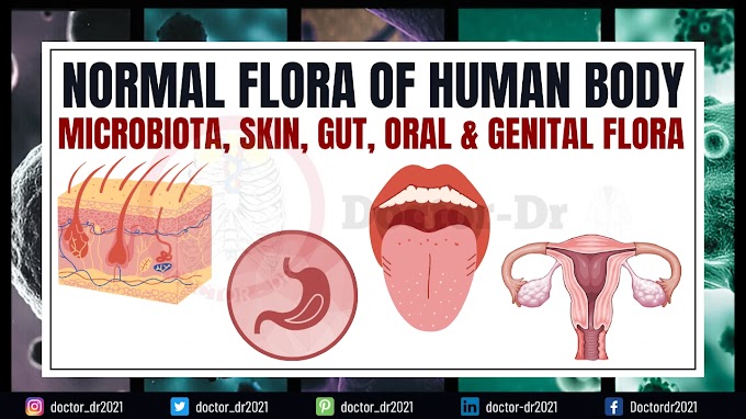 Normal Flora of the Human Body: Role, Sites, and Clinical Relevance