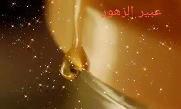 فوائد  العسل ( الجزء الاول)