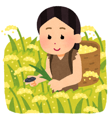 稲作のイラスト（女性）